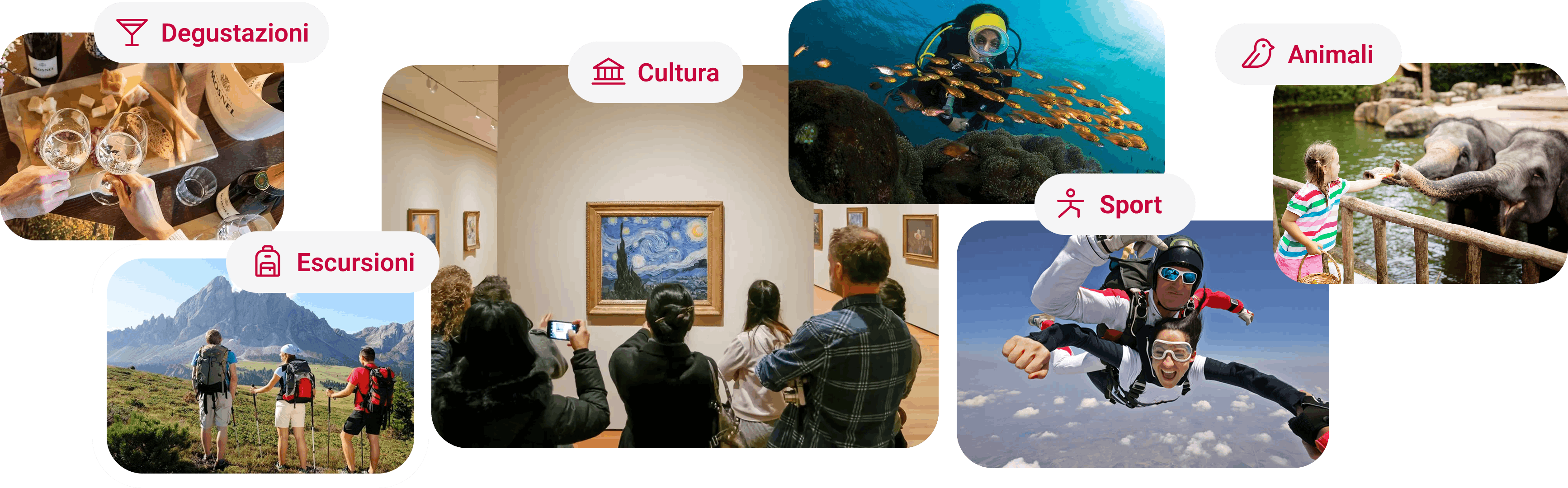 Esempi di richieste viaggiatori: degustazioni, escursioni, cultura, sport e animali